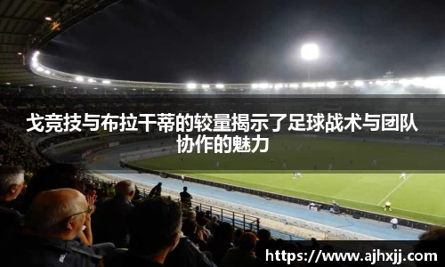 乐鱼体育官网