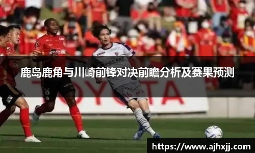 乐鱼体育APP